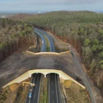 dji_20251208103752_0001_d_fot1